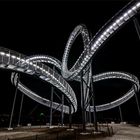 Tiger & Turtle