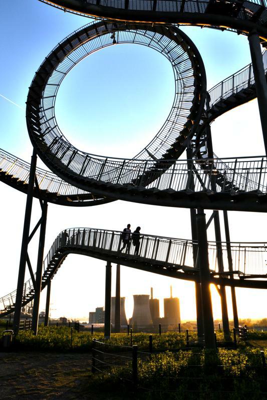 Tiger & Turtle