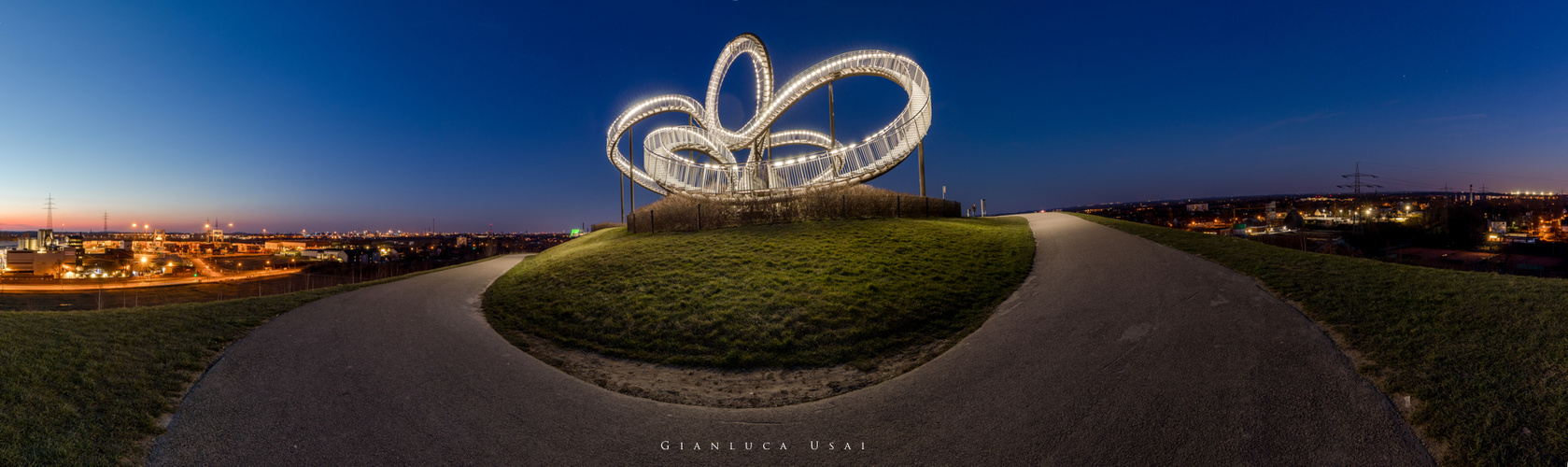 Tiger & Turtle 