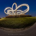 Tiger & Turtle 