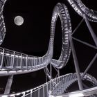 Tiger & Turtle