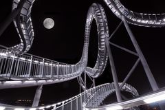 Tiger & Turtle