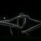 Tiger & Turtle