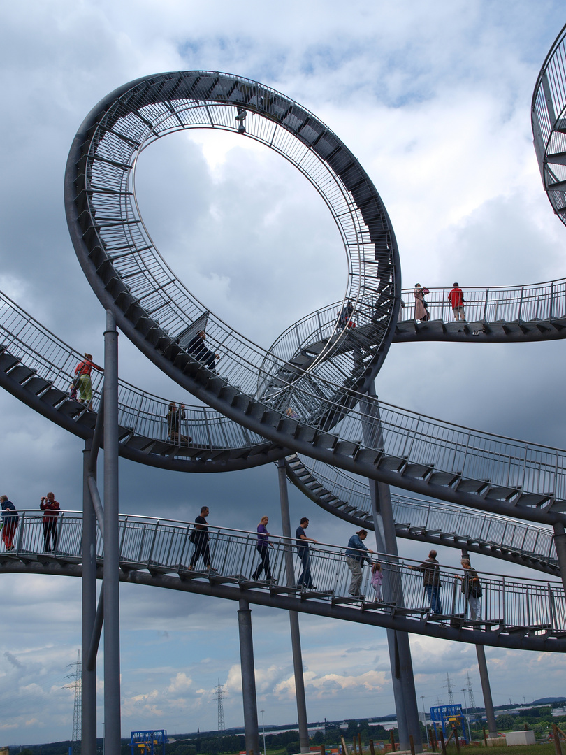 Tiger & Turtle