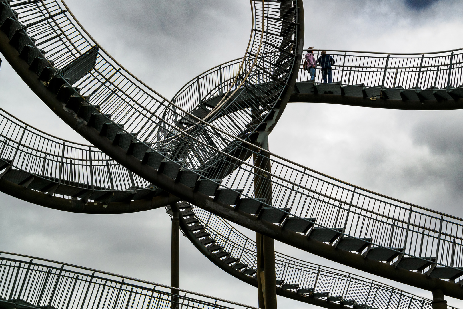 Tiger & Turtle 