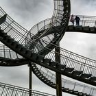 Tiger & Turtle 