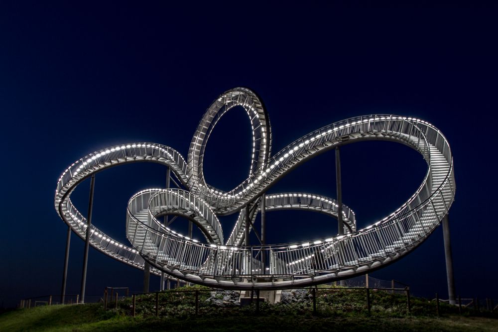 Tiger & Turtle