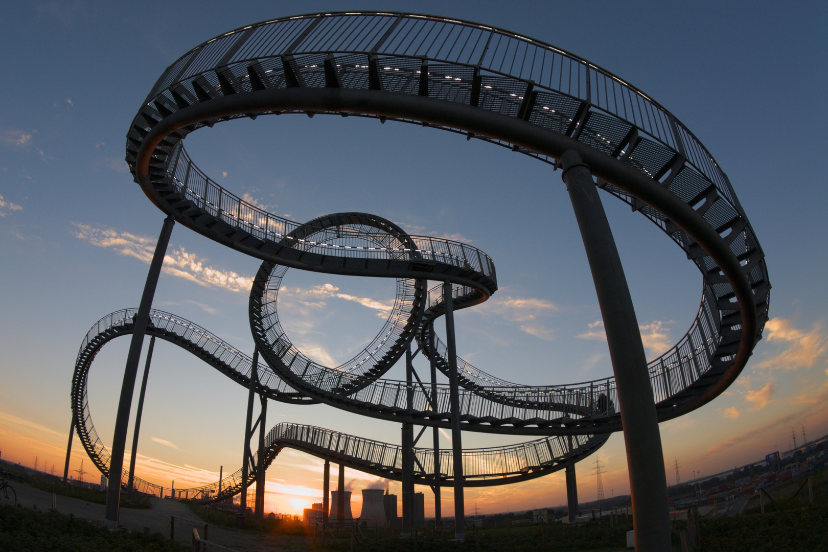 Tiger & Turtle