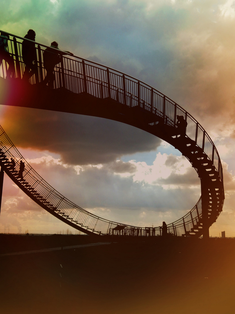 Tiger & turtle 