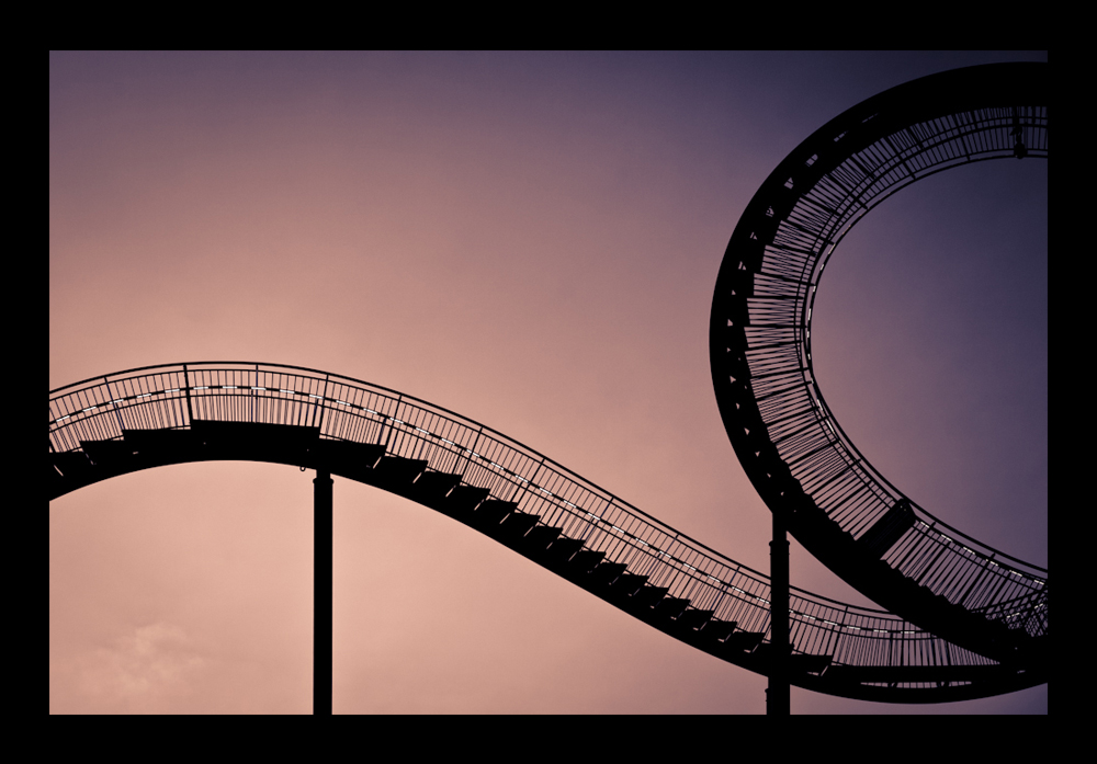 Tiger & Turtle