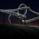 ** Tiger & Turtle **