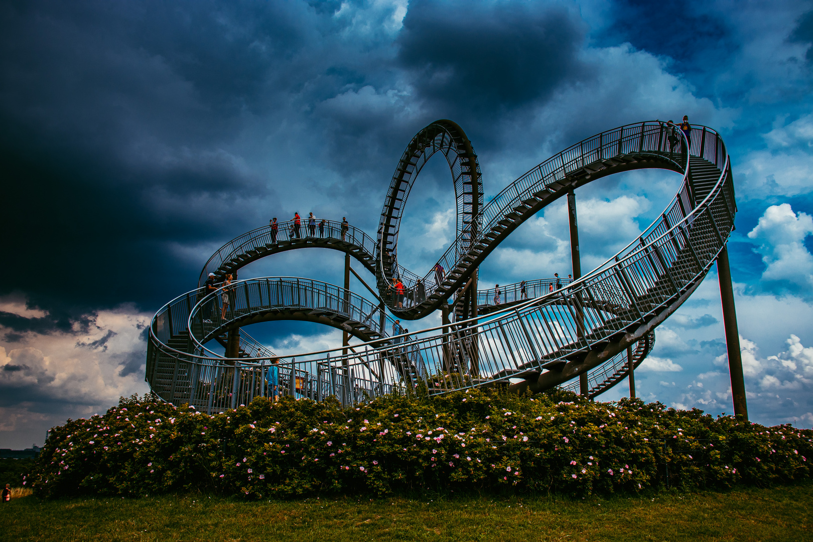 Tiger & Turtle