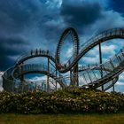 Tiger & Turtle