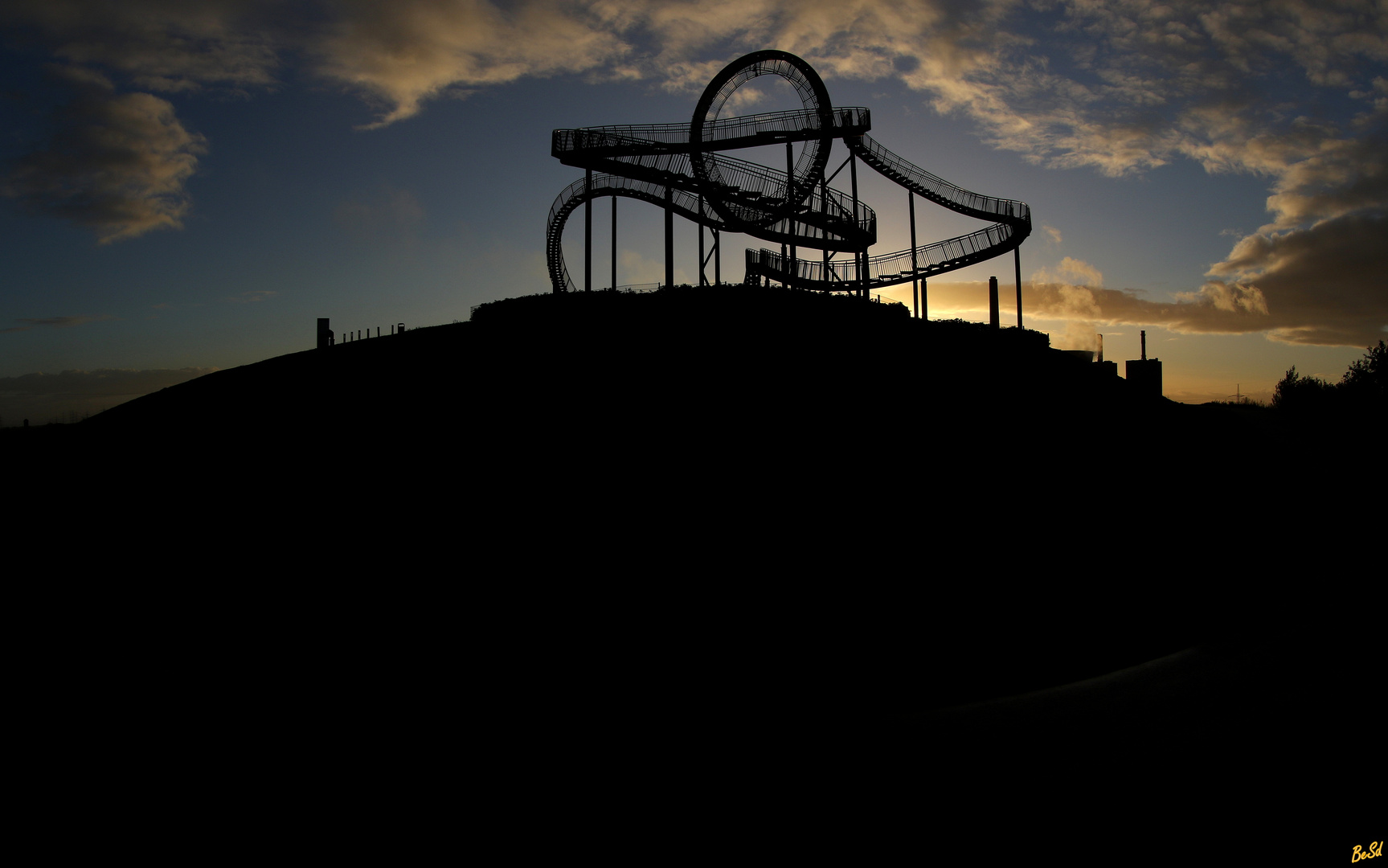 Tiger & Turtle......