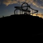 Tiger & Turtle......