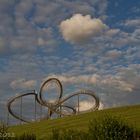 Tiger & Turtle