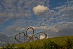 Tiger & Turtle