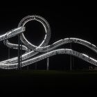 Tiger & Turtle