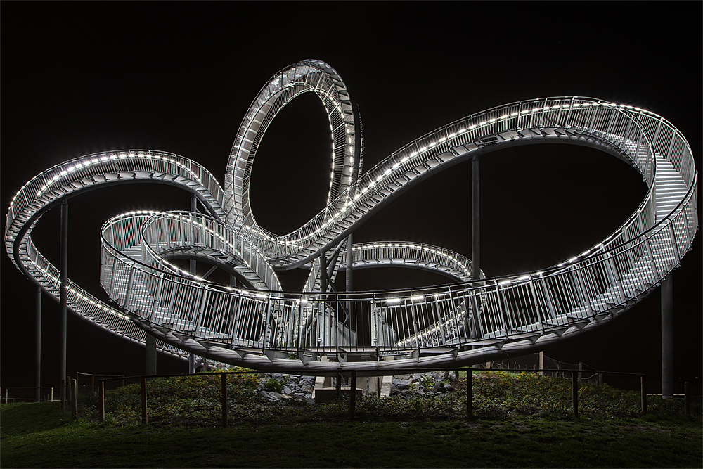 Tiger & Turtle