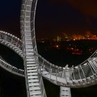 Tiger & Turtle