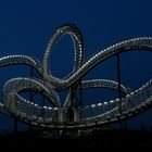 Tiger & Turtle