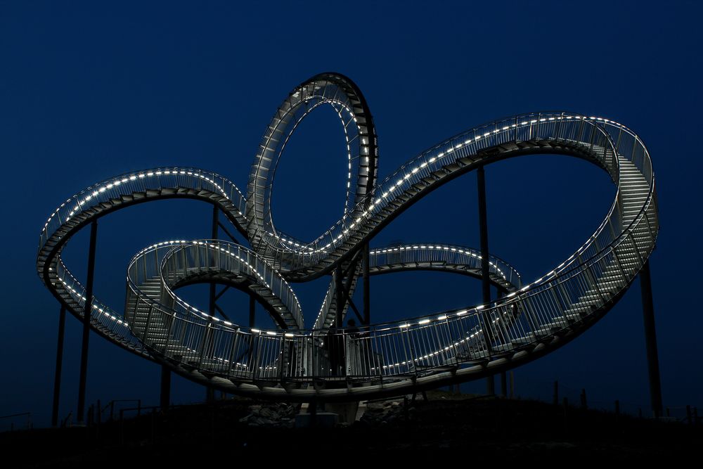 Tiger & Turtle