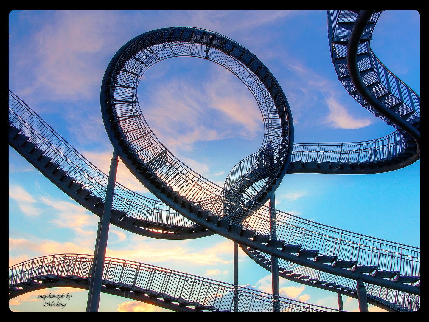 Tiger & Turtle