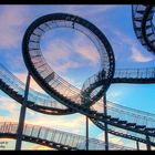 Tiger & Turtle