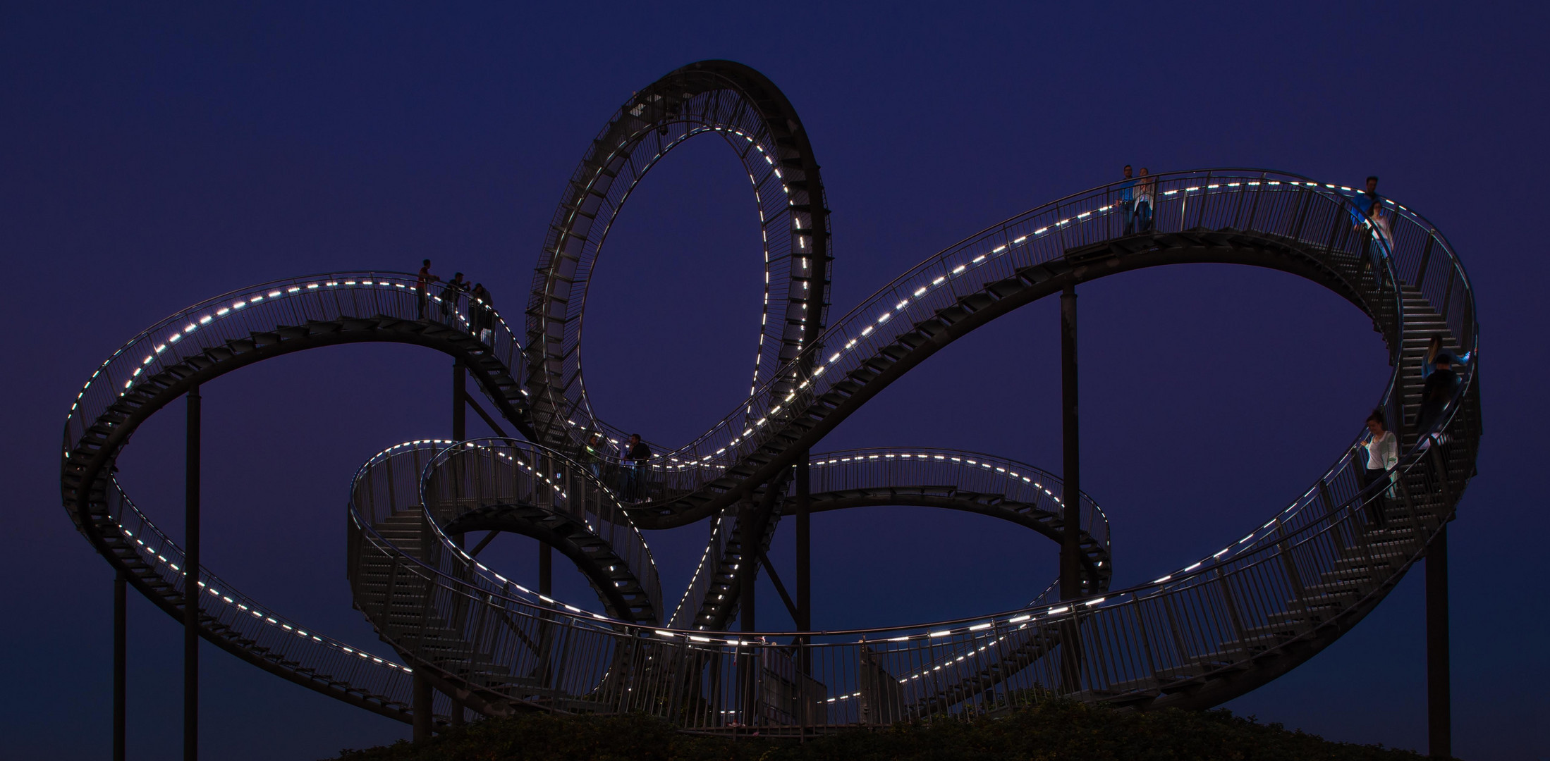 Tiger & Turtle °°