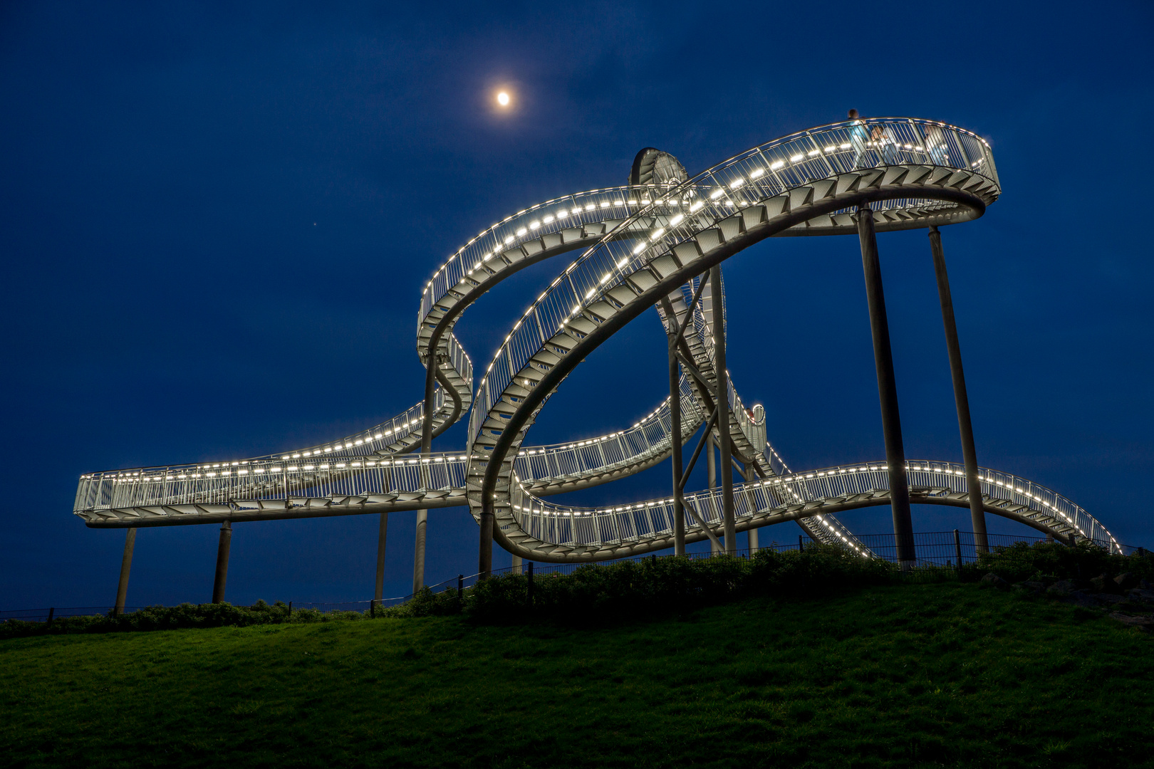 Tiger & Turtle