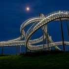 Tiger & Turtle