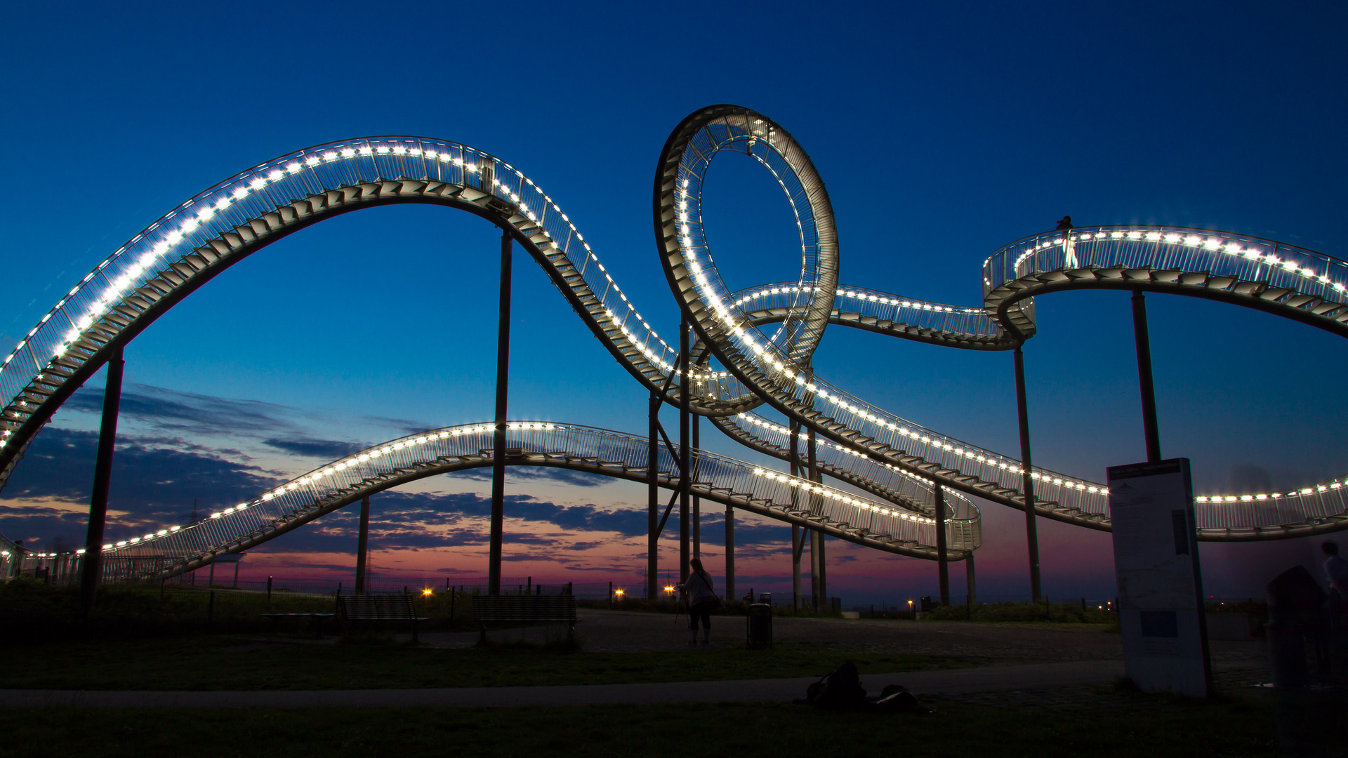 Tiger & Turtle