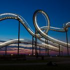 Tiger & Turtle