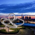 Tiger & Turtle