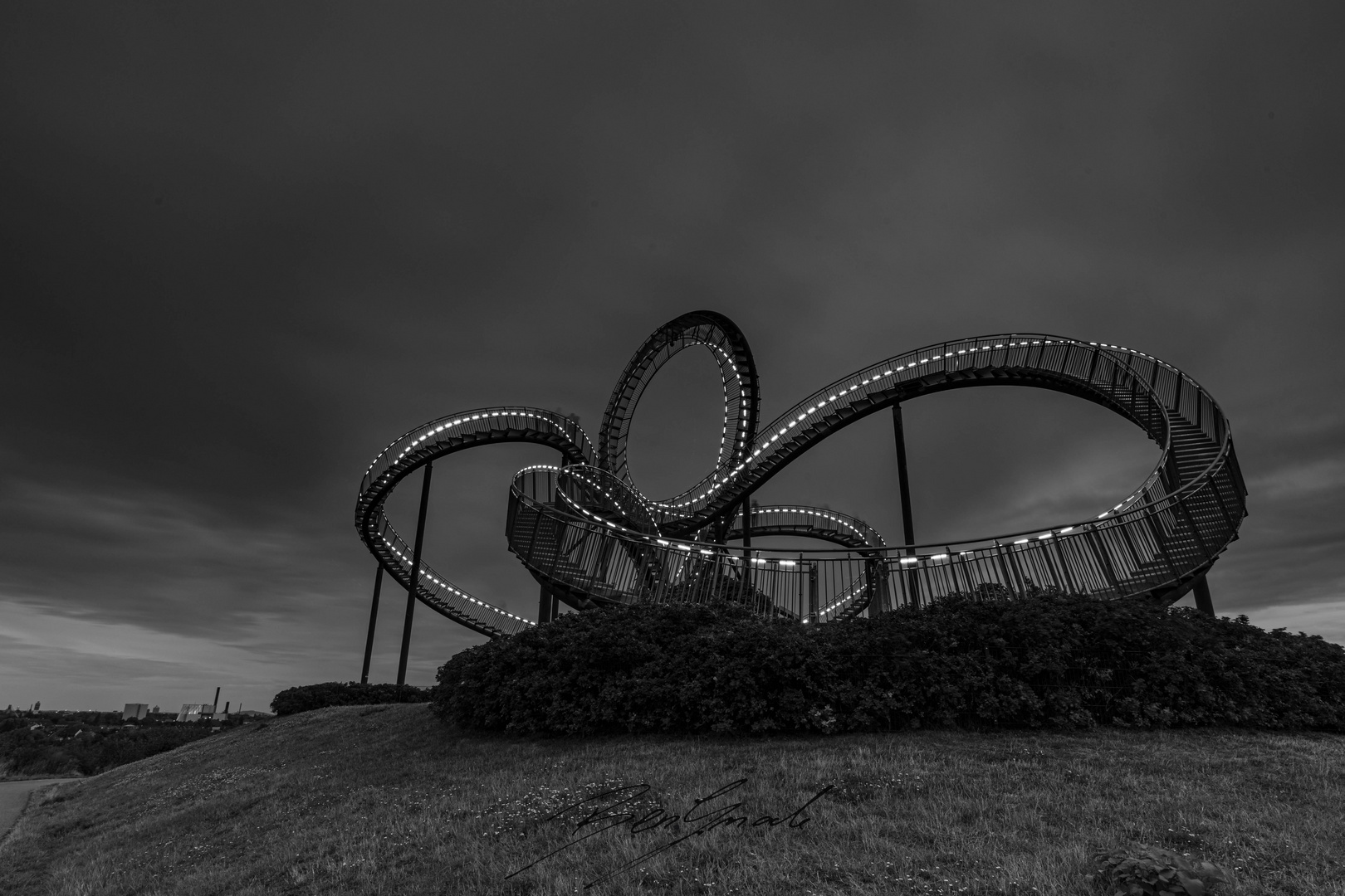 Tiger & Turtle 