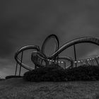 Tiger & Turtle 