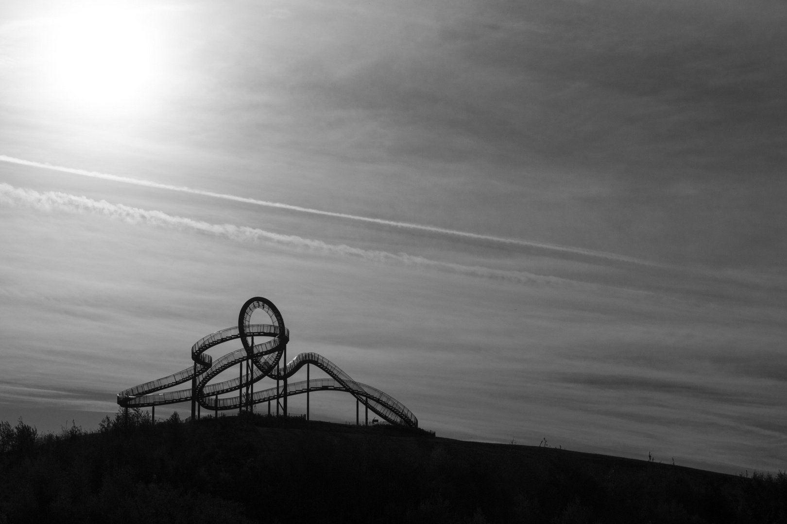 Tiger & Turtle