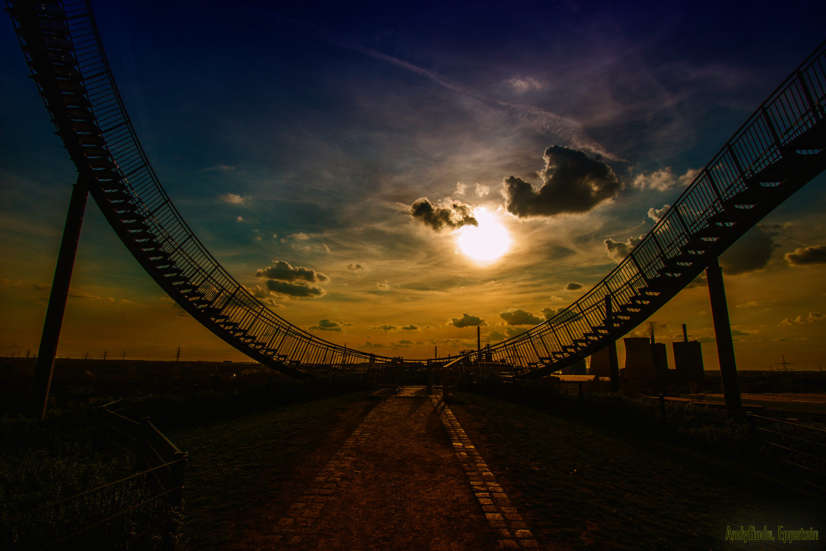 Tiger & Turtle