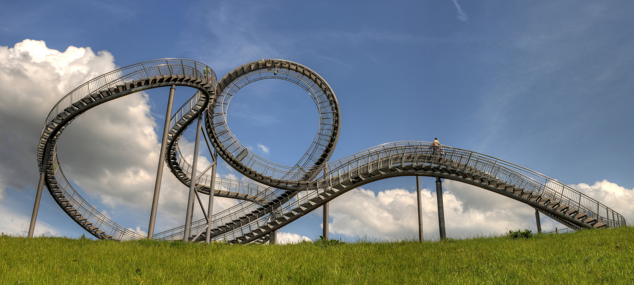 Tiger & Turtle