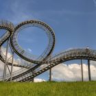 Tiger & Turtle