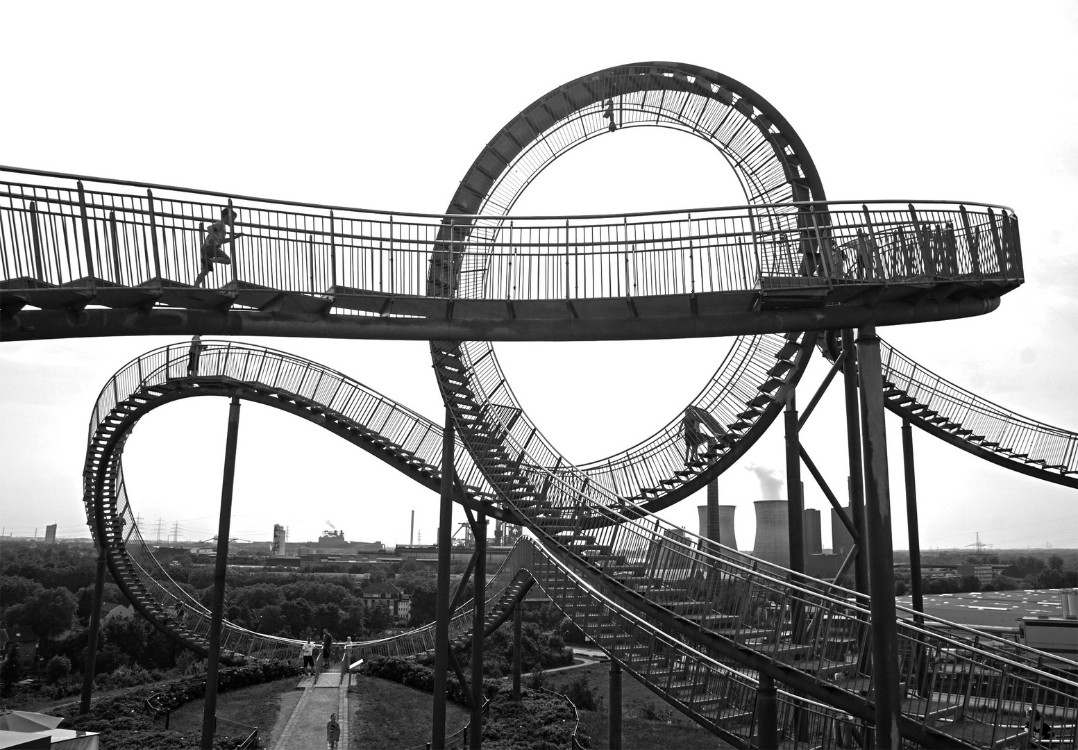 Tiger & Turtle