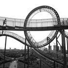 Tiger & Turtle