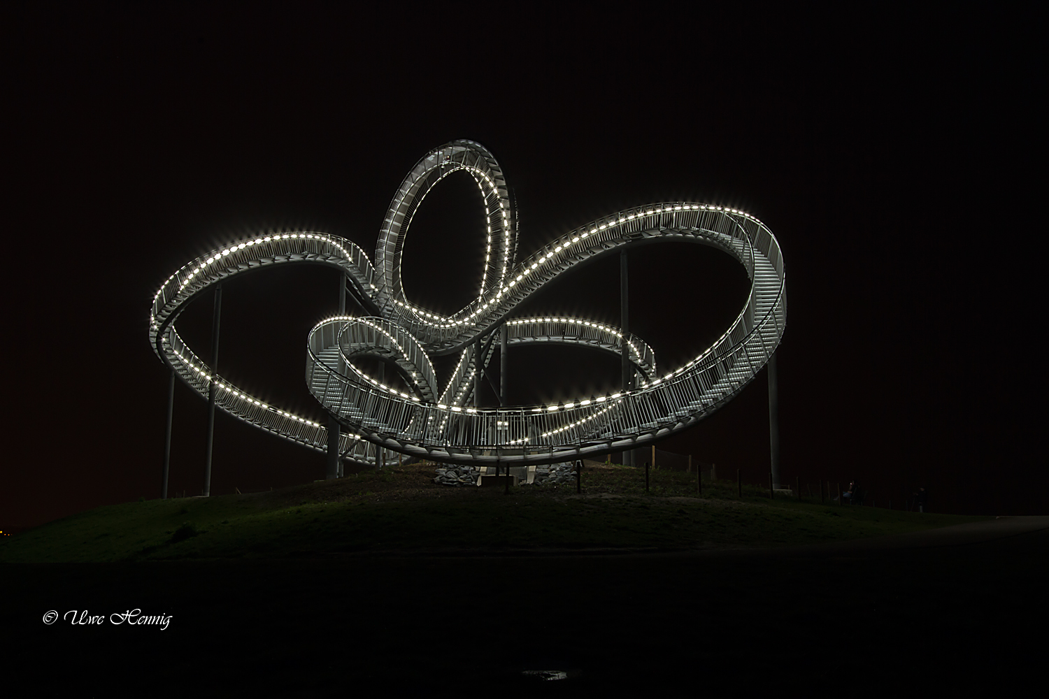 Tiger & Turtle