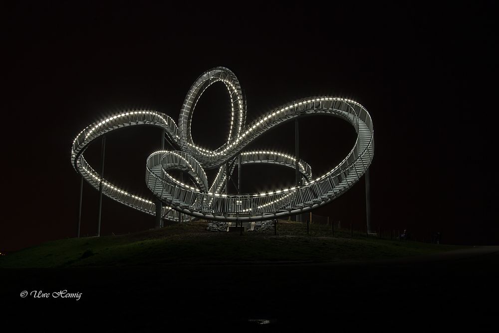 Tiger & Turtle