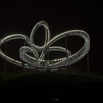 Tiger & Turtle