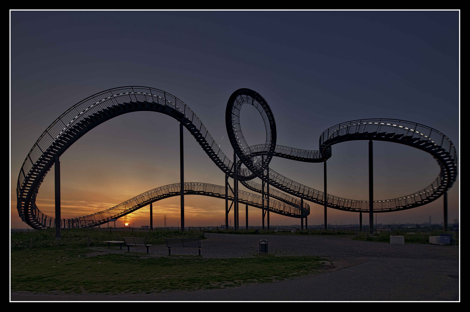 Tiger & Turtle first