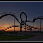 Tiger & Turtle first