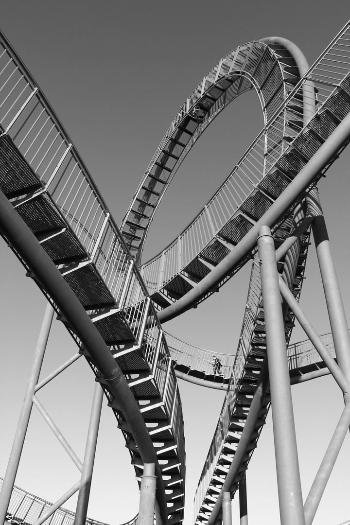 Tiger & Turtle ganz nah