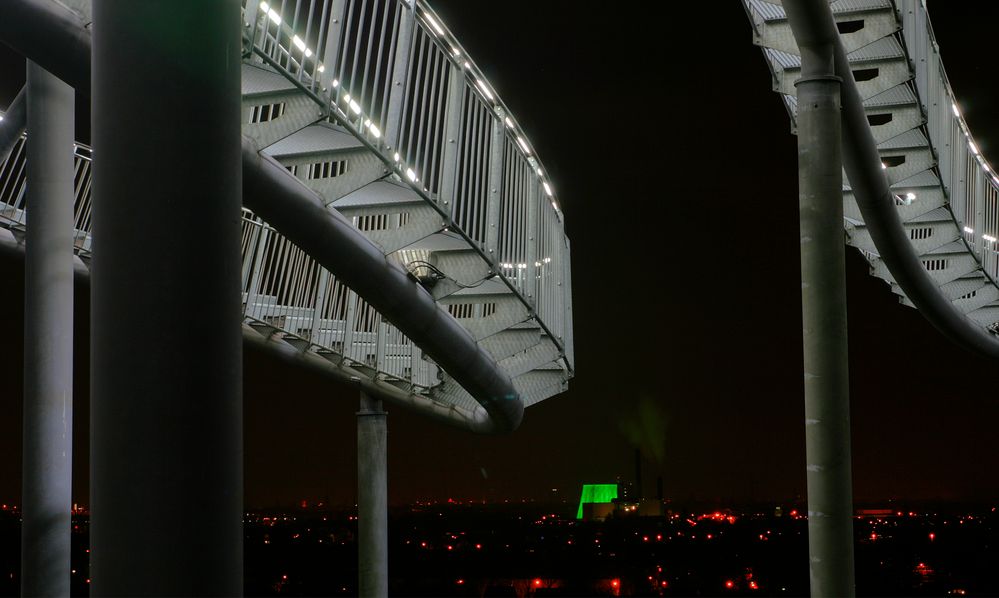 Tiger & Turtle & Grün