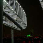 Tiger & Turtle & Grün